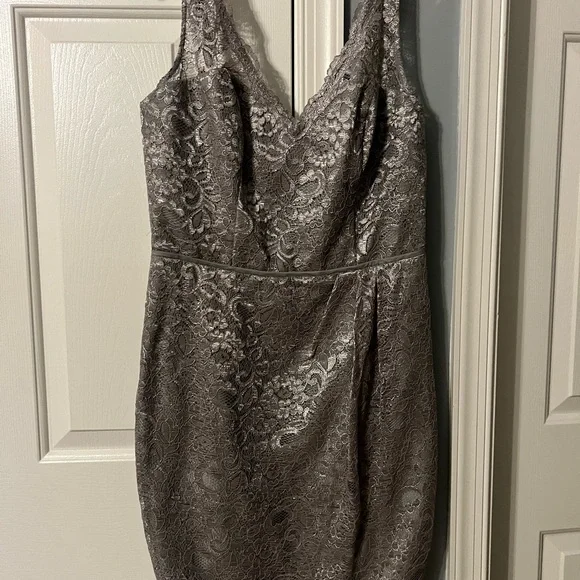 chinese dress ladies Silk Plisse' & Liquid Silver Lace Layered Dress